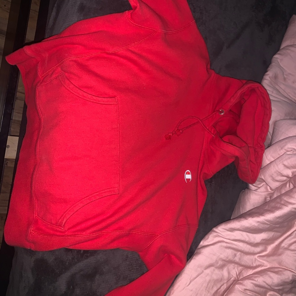 Champion hoodie from zumiz